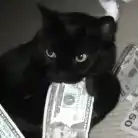 Zdjęcie profilowe - Eryk Kunasz, Entry Level Frontend Developer